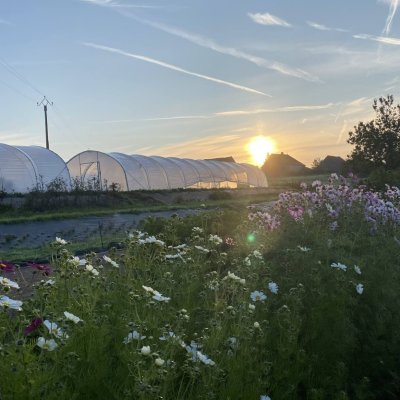Ferme florale du rousset agriculture biologique saone et loire (3)